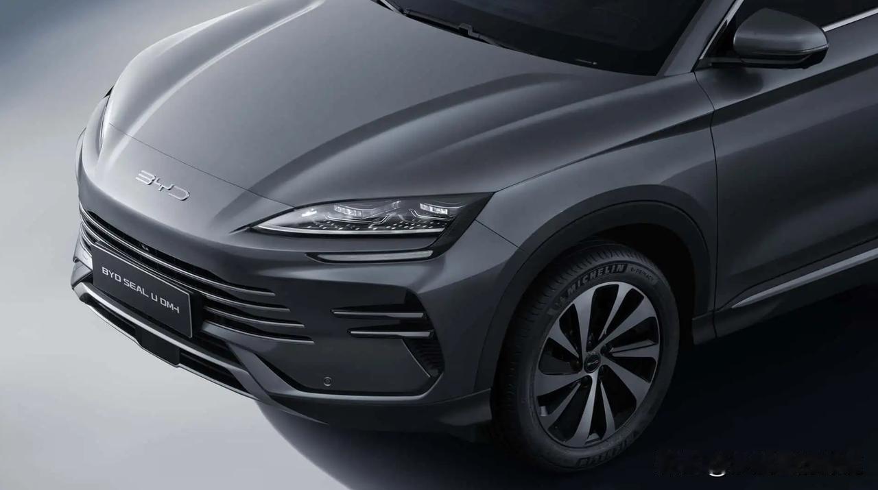 咱们眼里的“网约车”，到了欧洲直接封神！反向操作，欧洲人开始炫比亚迪了。最近外