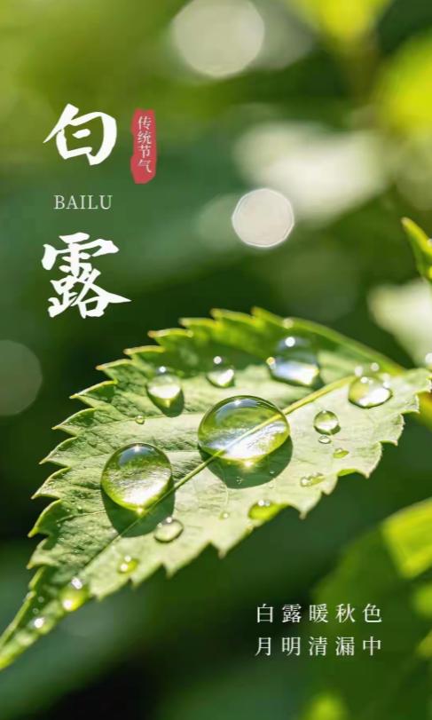 明日白露季节了，白露天气转凉了，俗话说，白露季节到，蚊子死一升。古人拿