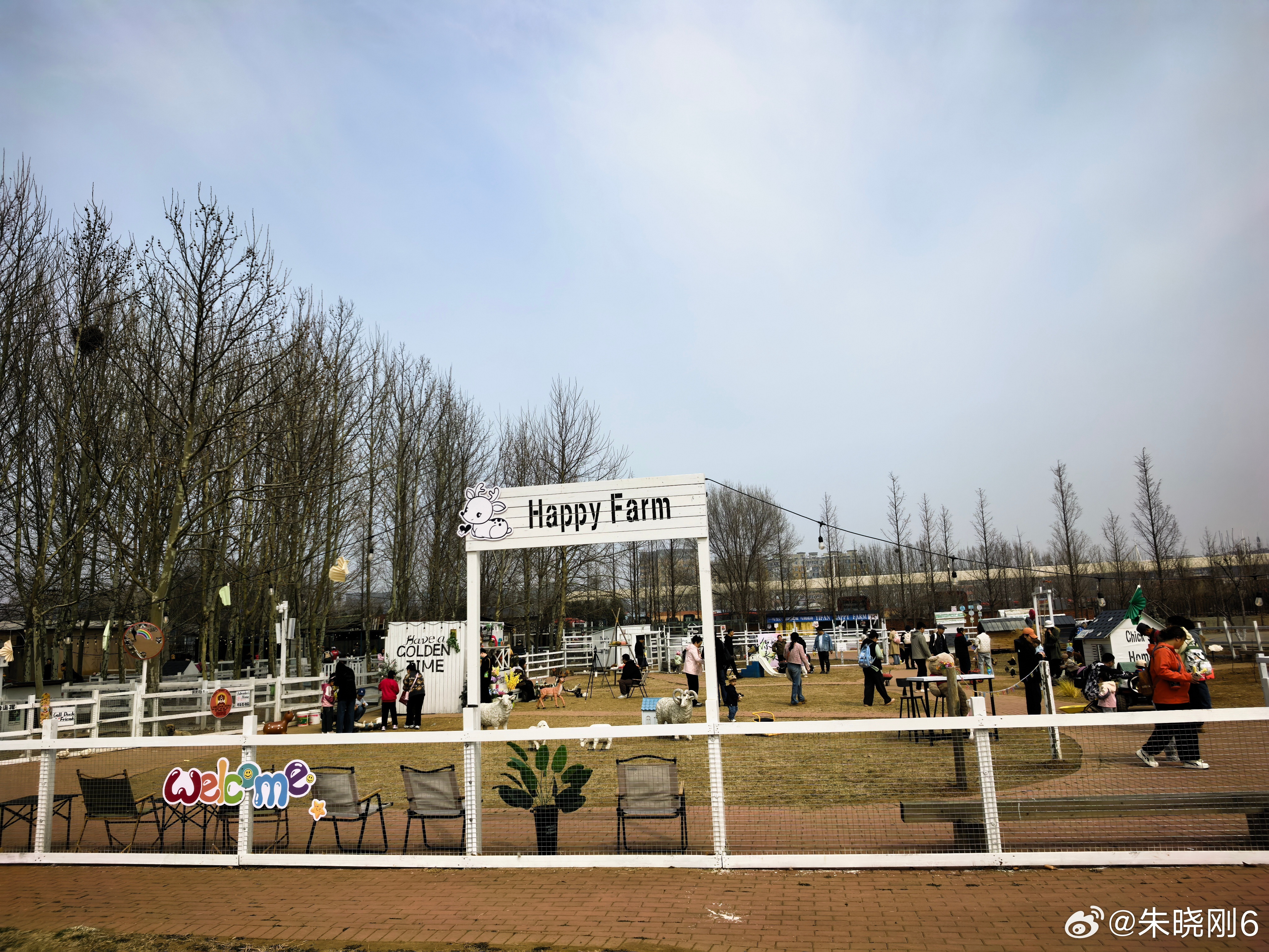 摘个草莓买个盆栽大连大连·大连花卉苗木展示交易中心