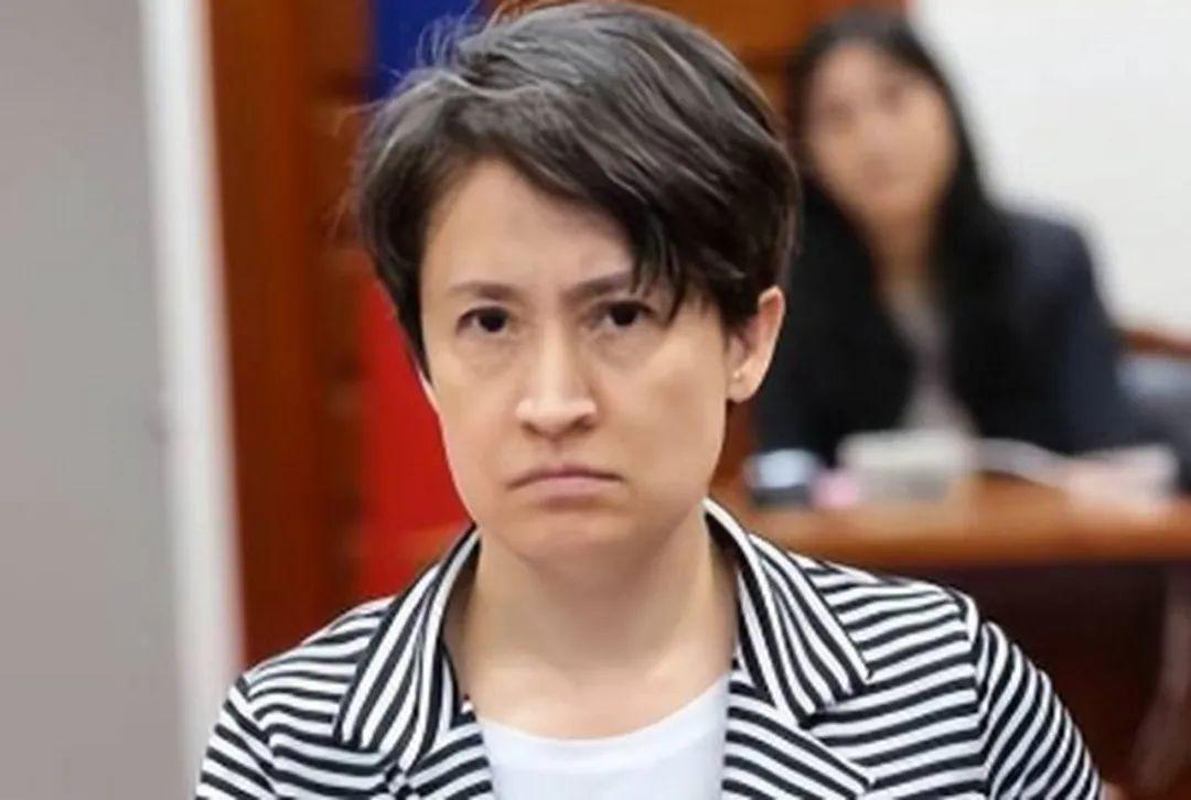被列入“台独顽固分子”清单的台湾地区副领导人萧美琴，26日晚在窜台的“对
