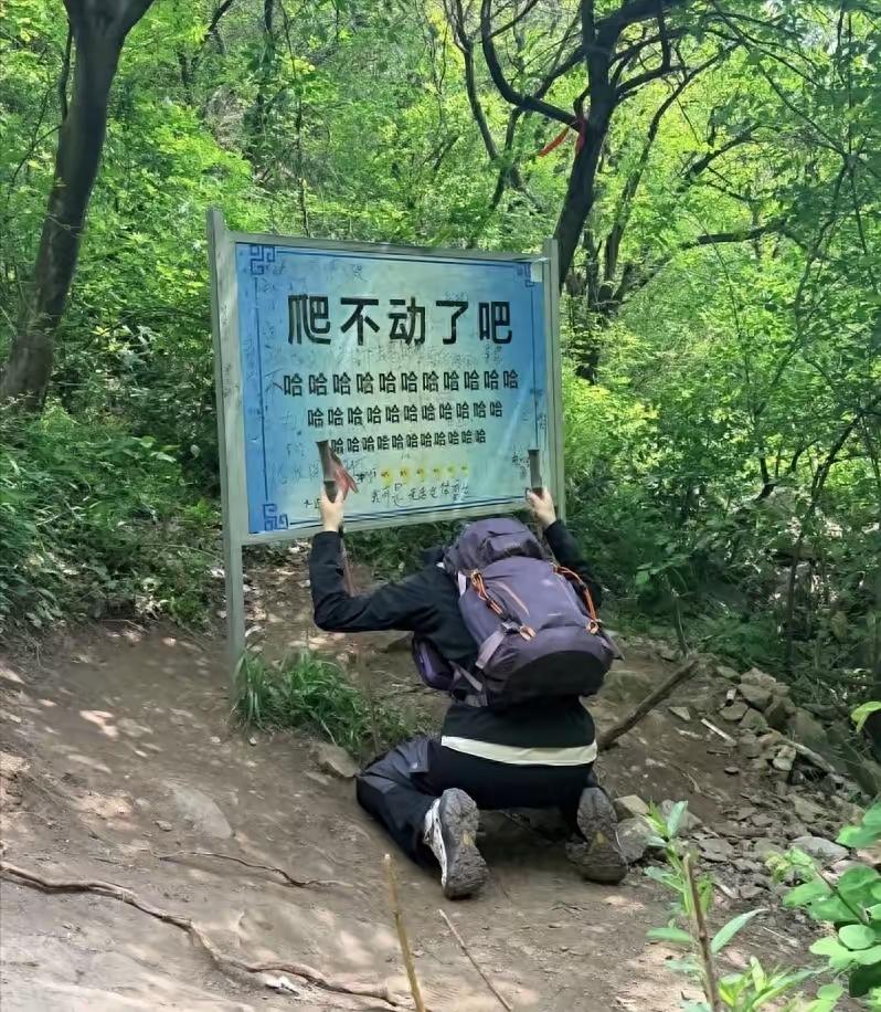 好家伙，这也太嘲讽了吧[捂脸哭]