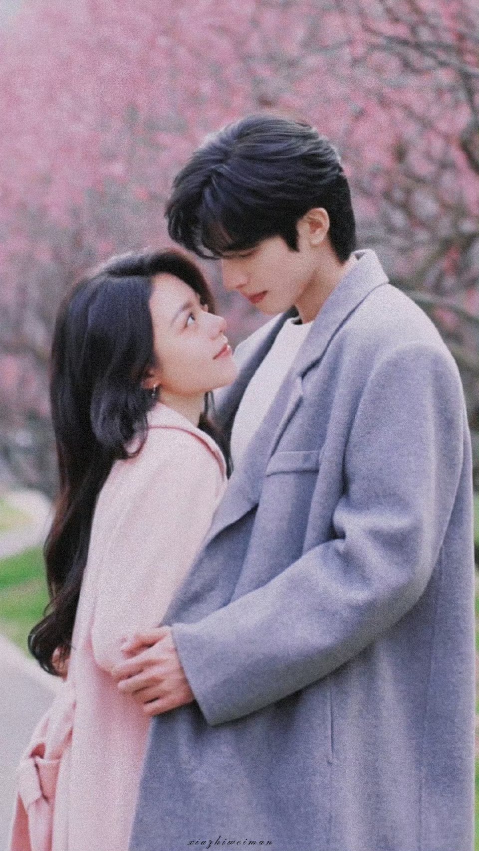 骄阳似我梅园定情宋威龙视角下的赵今麦好明媚啊！