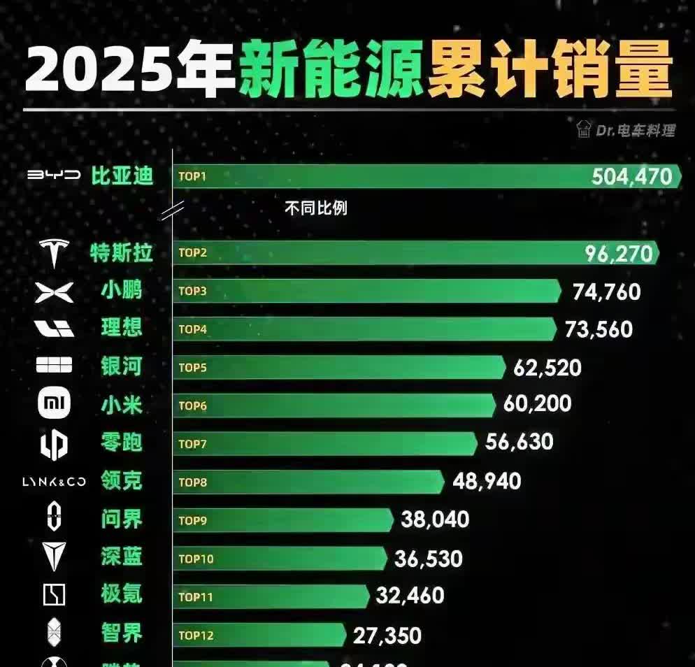 新能源累计销量，小鹏汽车排名第三、小米汽车进入第六，问界跌到第九，蔚来跌到第十四