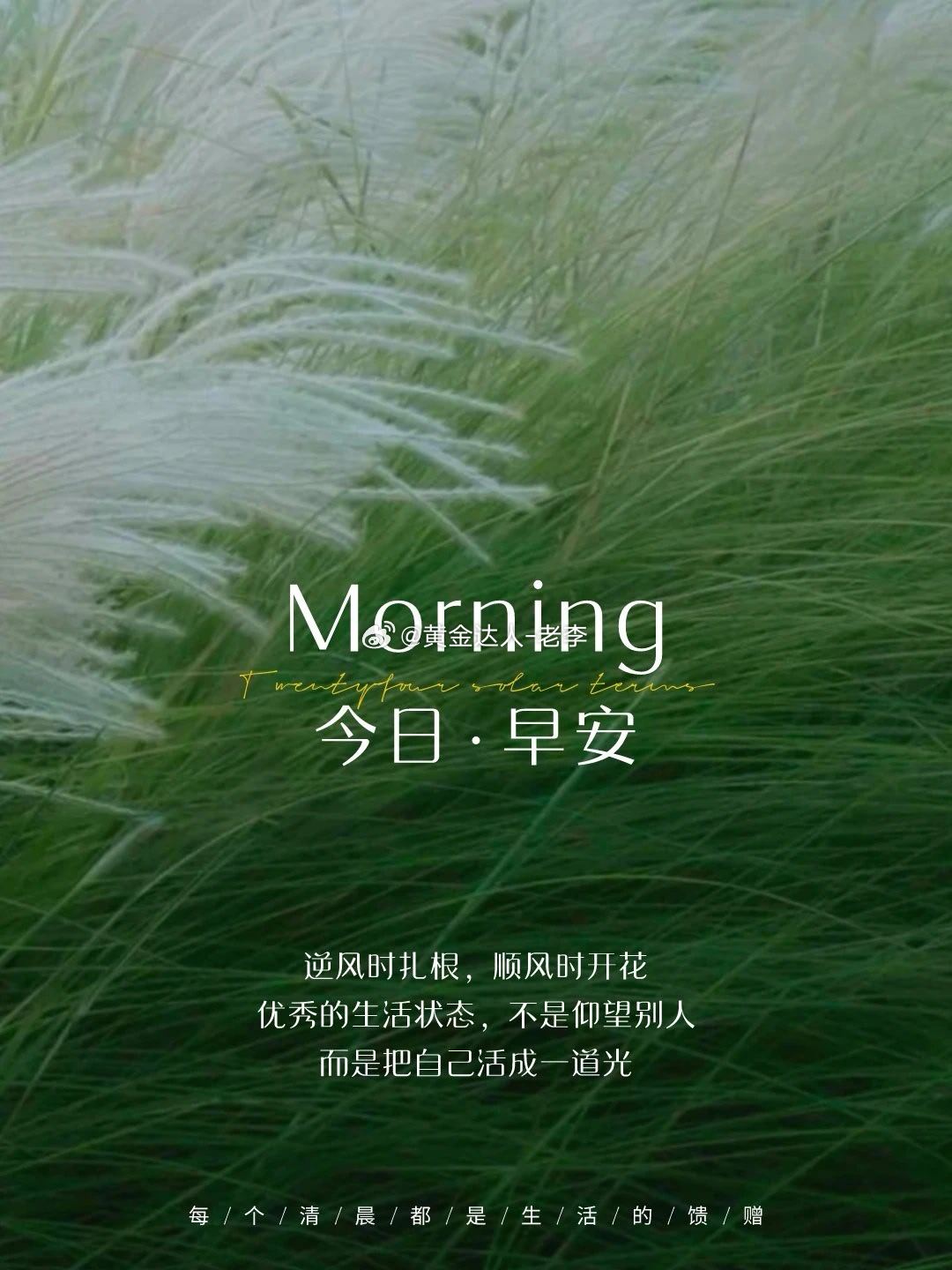 黄金周一早安☀️黄金投资路，稳字当头。蛰伏只为等一波清晰行情，放平心态把控