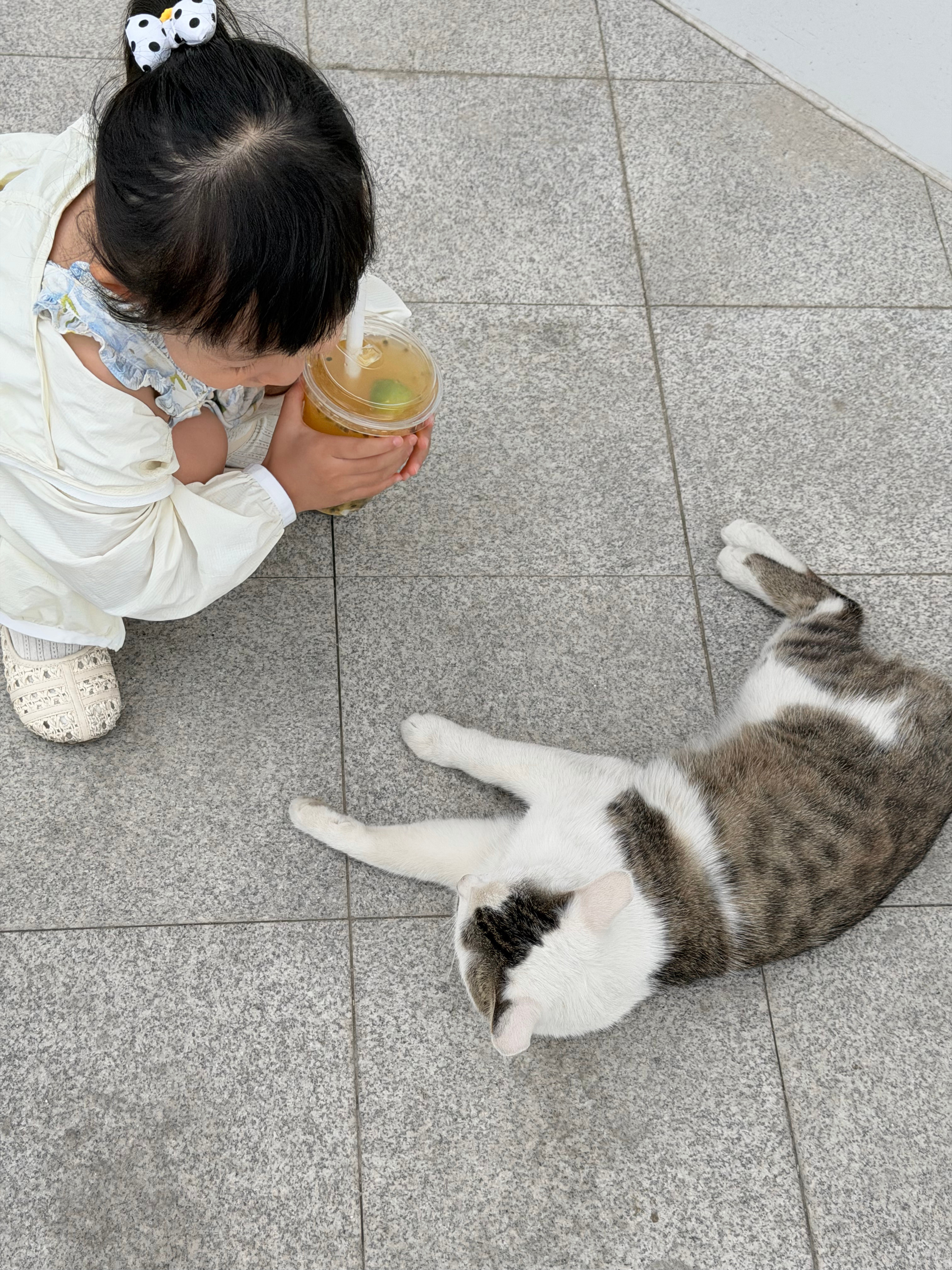 对小猫咪爱不释手的小外甥女