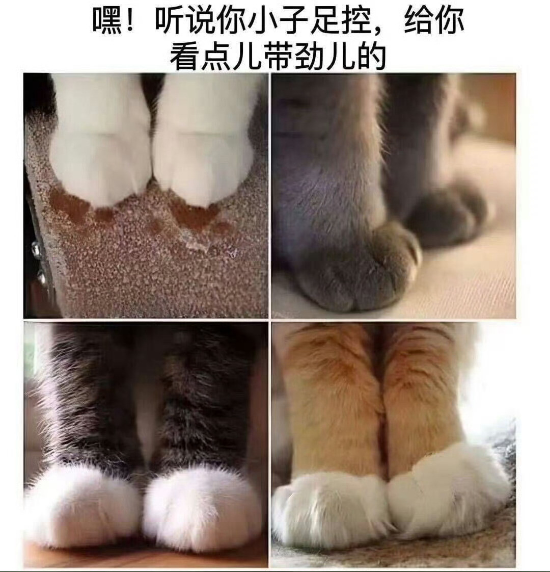 够带劲​​​