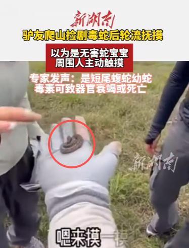 “命真大啊！”10月10日，北京，一男子爬山时捡到一条可爱的“蛇宝宝”，他捧在手