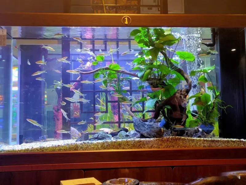 2026年3月13日，处女座的运势有喜有忧。综合运势稍显不佳，容易遇到小麻烦，还