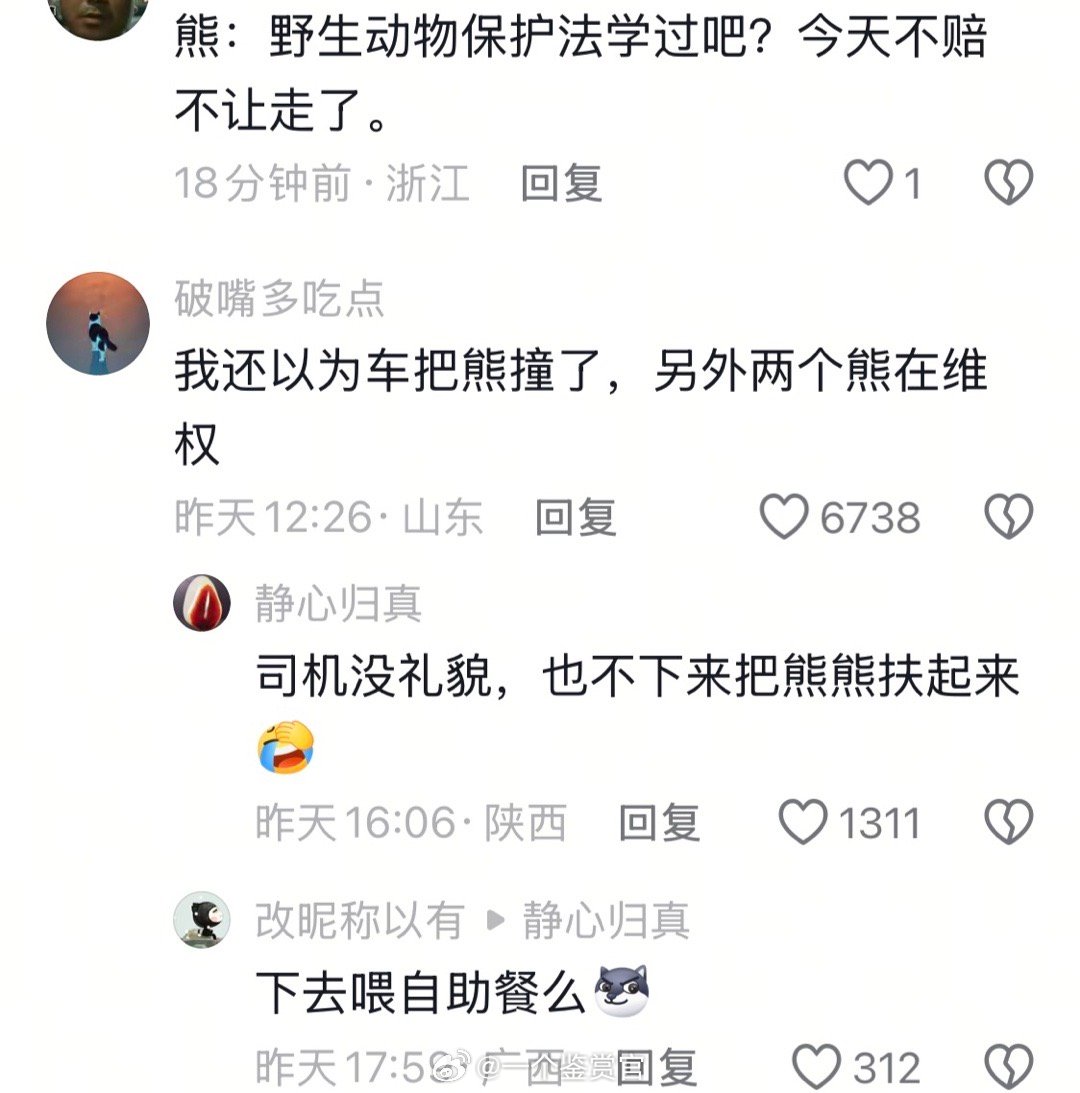 半路遇到熊碰瓷，还真的不敢下去理论啊哈哈哈