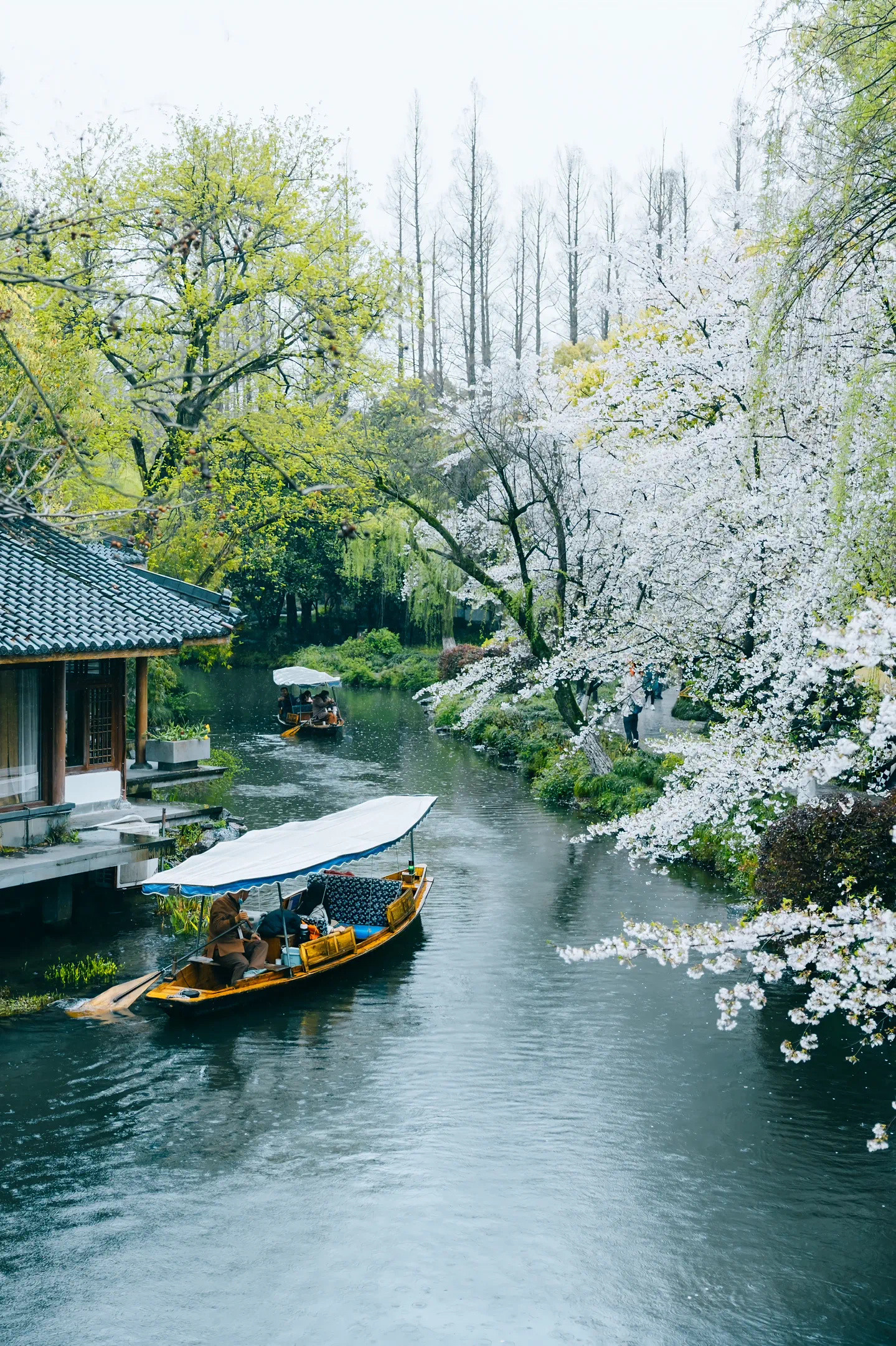 接下来的杭州的春天堪称浪漫天花板‼️。春天的杭州真的堪称浪漫天花板，各种鲜花接连