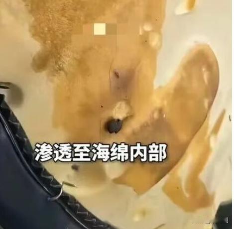 “精致女屙到车上了！”四川南充，网约车司机拉了一名年轻女乘客，谁知，对方上车后，