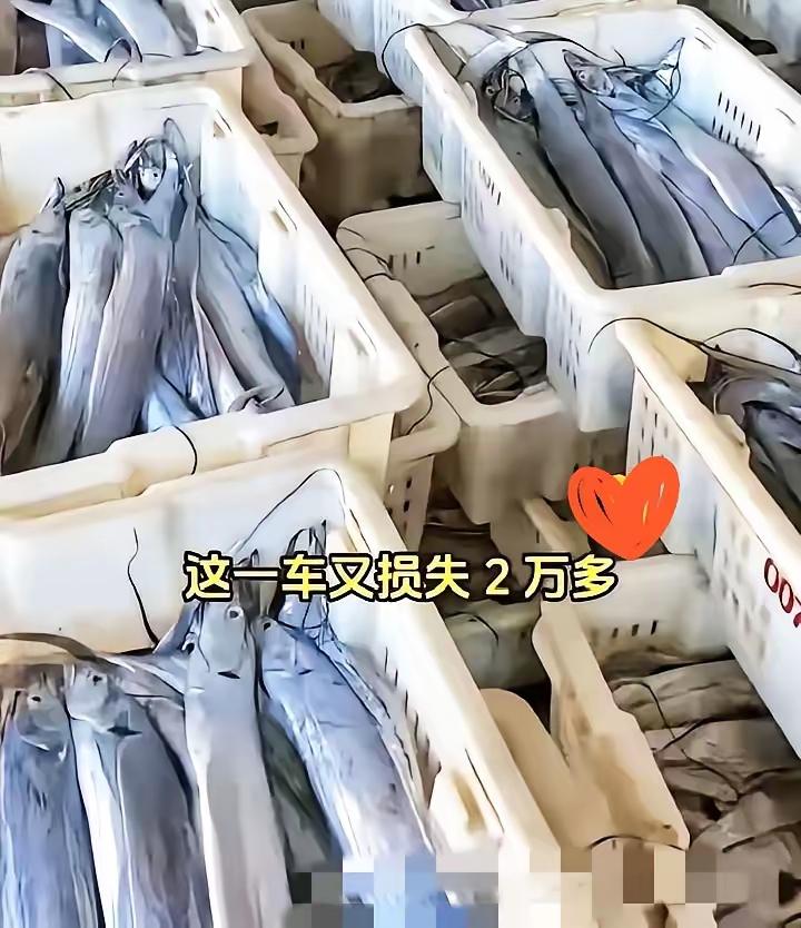 今年中秋资本集体懵了？年轻人早把“筛选消费”玩明白了！别再说年轻人抠门了！