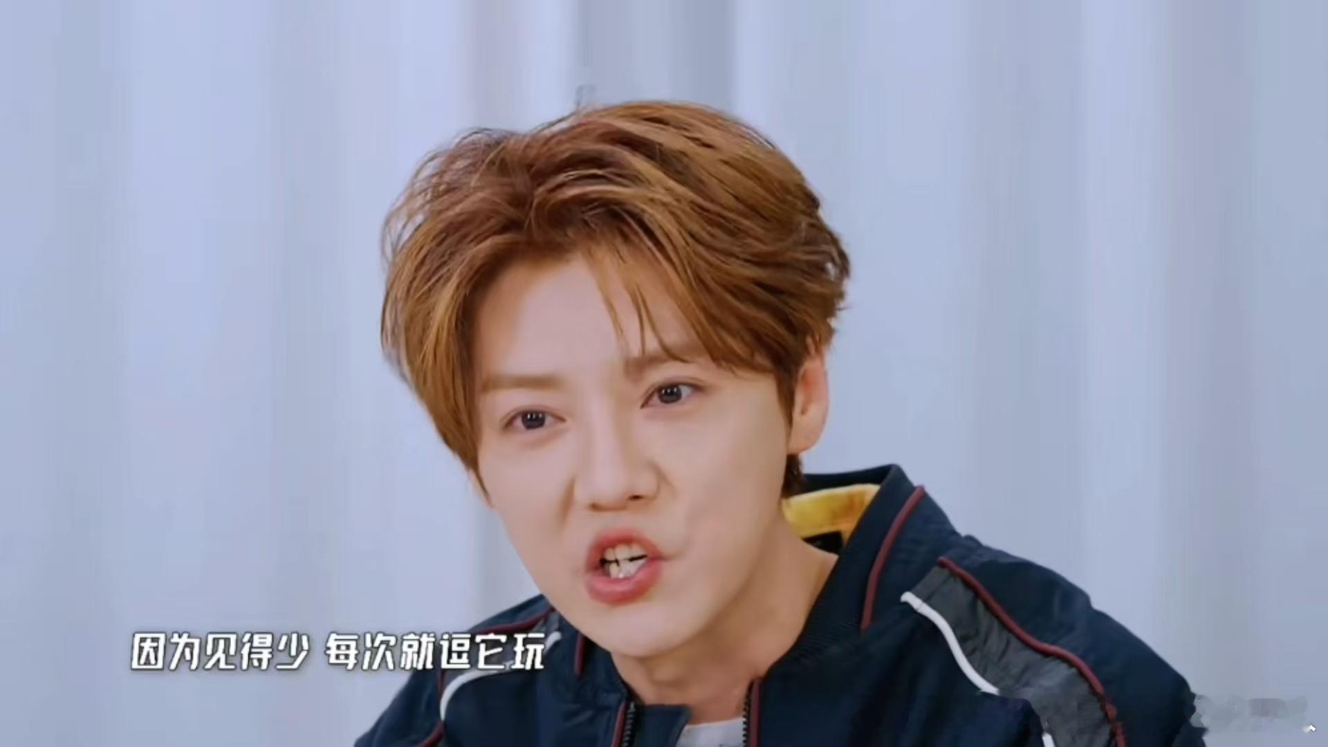 鹿晗能跟馒头聊俩小时邓超鹿晗的狗是亲戚哈哈哈哈哈鹿晗能跟馒头聊俩小时，馒头估计