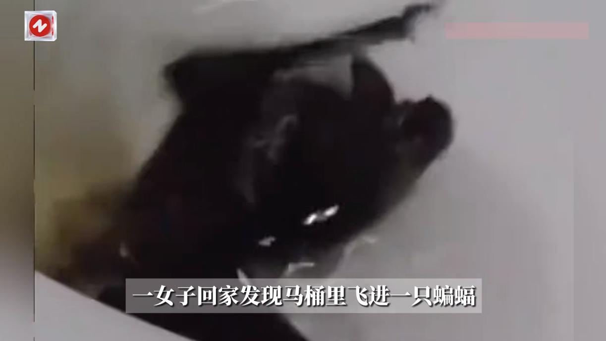 悲剧还是发生了！8月31日，河南信阳，一女子回家之后正要上厕所时，结果却发现马桶