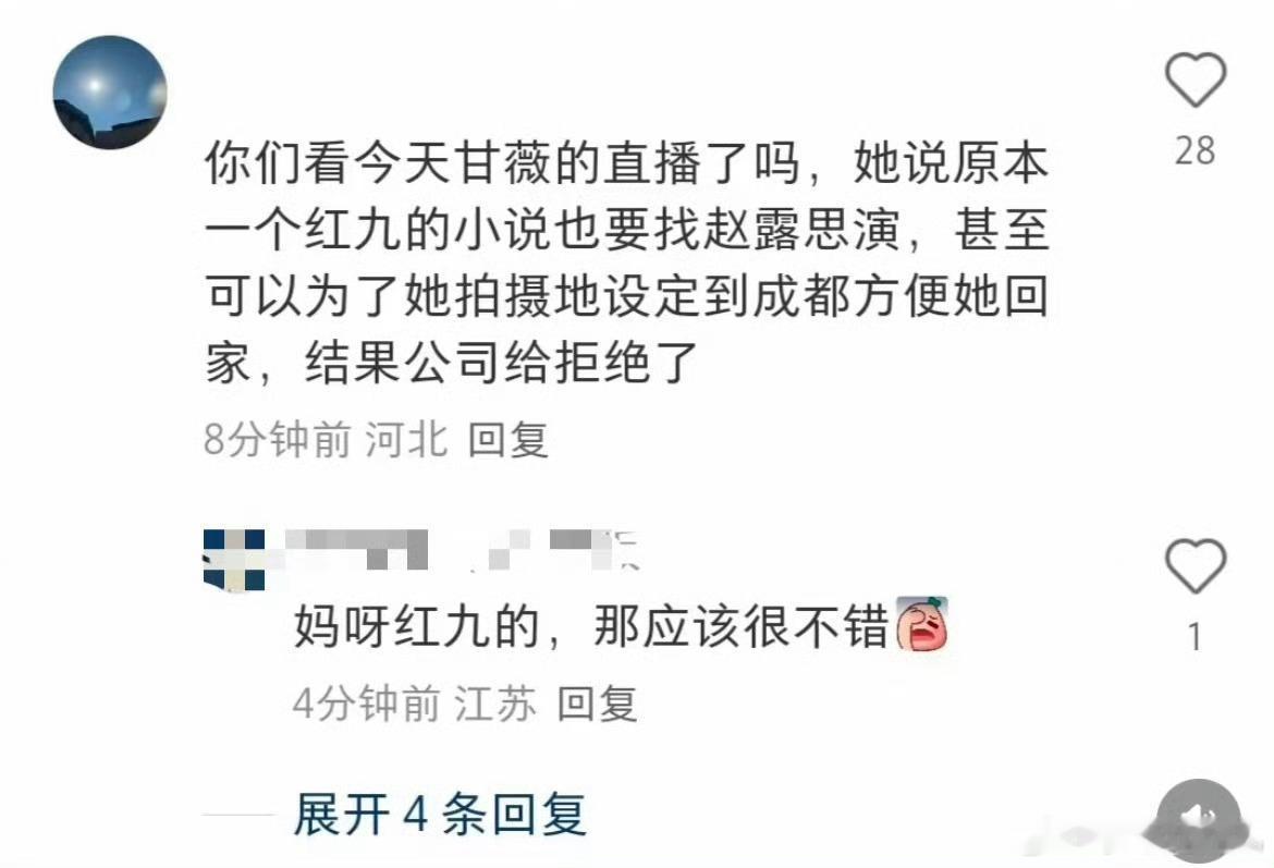 银河酷娱替赵露思推掉红九的小说又来一个爆料的，红九的小说改编剧应该还算个不错的?