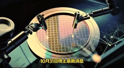 荷兰现在收场难了！海牙消息：10月31日内阁连夜召集经济部、情报局与议会三大派