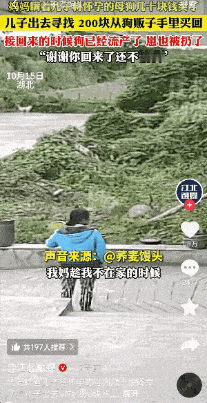 这一幕让我“落泪了”，男子对着狗狗说：“谢谢你回来了，还不怕我！”湖北，一妈妈瞒