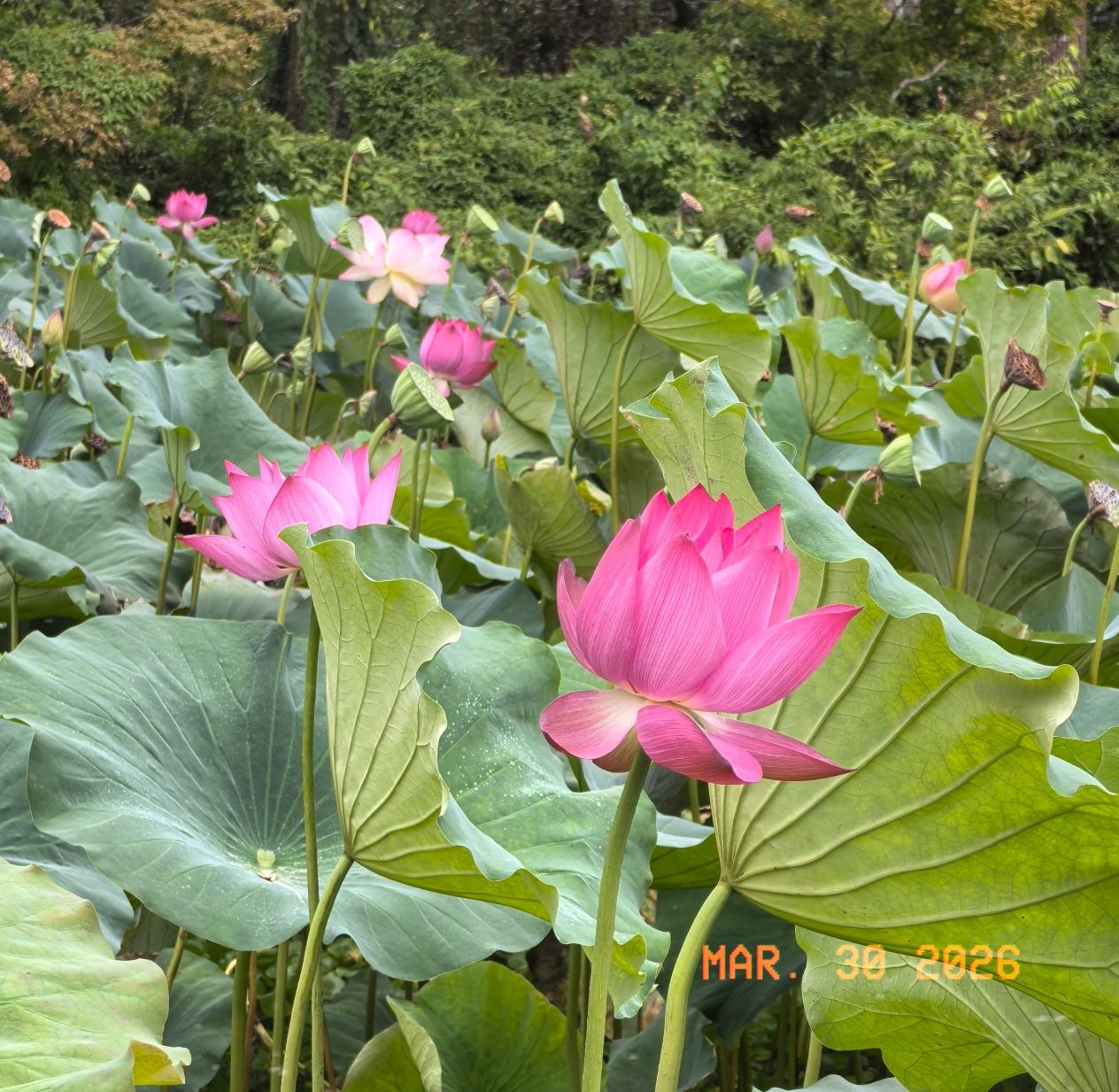 女人真的别一门心思拼命存钱。我有个51岁的老闺蜜，辛辛苦苦攒了近百万，本以为