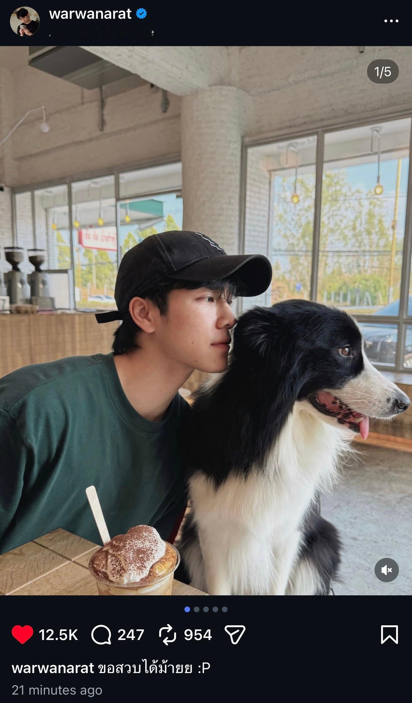 YinWarIgUpdate20260615特别特别萌我最爱看的萌宠博主