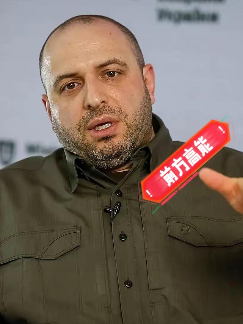 11月22日，乌克兰国家安全与国防委员会秘书乌梅罗夫在基辅宣布，结束俄乌冲突的任