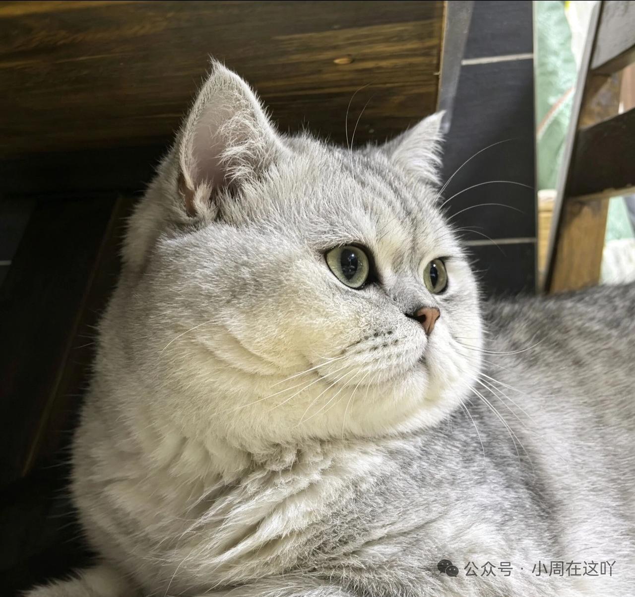 微语报：2026年7月19日，星期日，农历六月初六，每天3分钟知天下一、我国