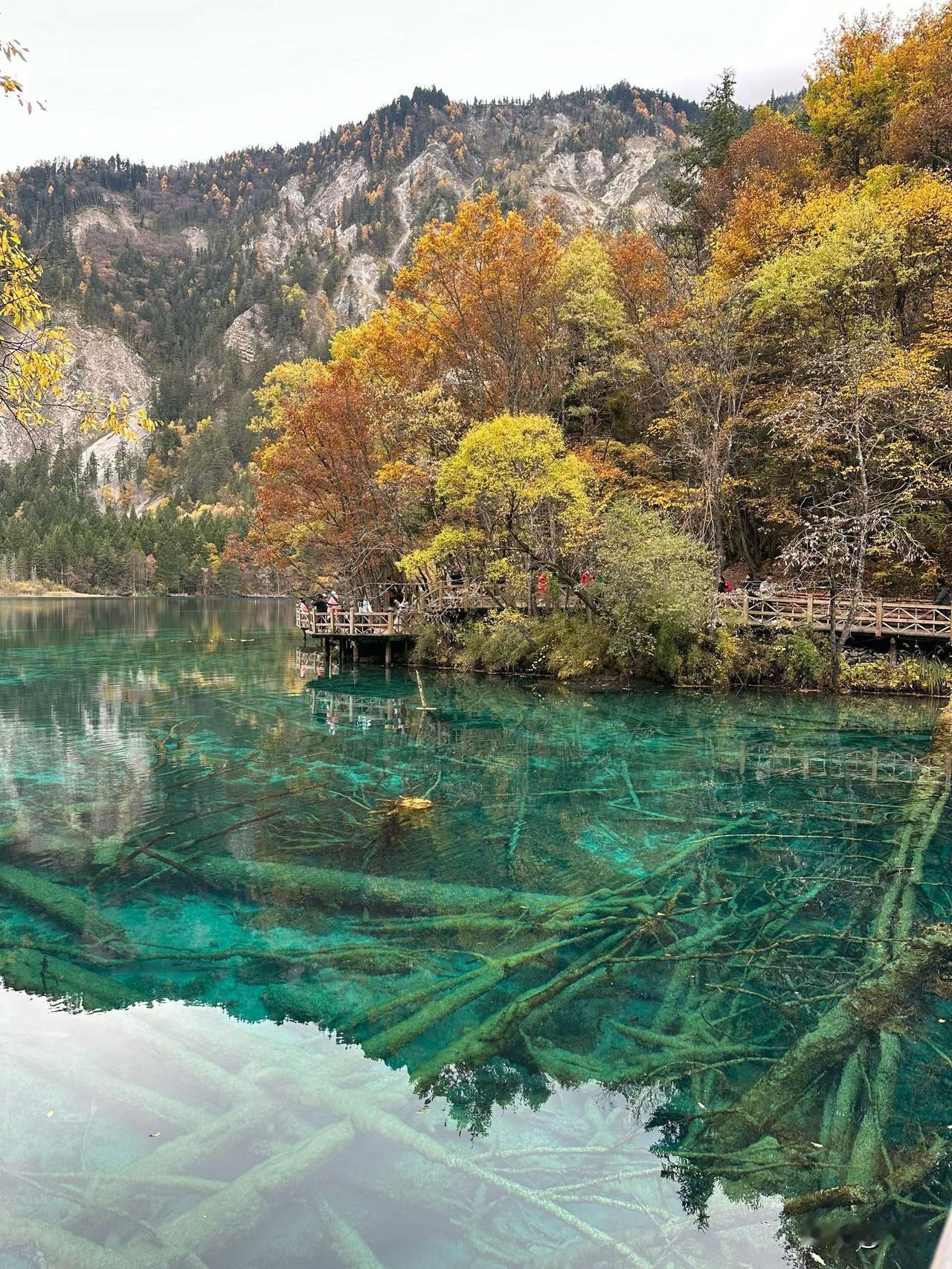 物业的管家换了一个又个了，现在是第三个来管理了。去年才交房，有一部分人已经入