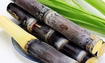 甘蔗立大功？医生发现：甘蔗可能对这3种慢性病有好处，可以常吃很多人一提到甘蔗