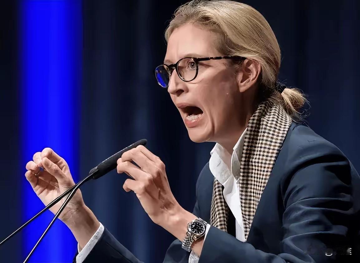 冯德莱恩反击魏德尔!欧盟分裂炸锅,美国急灭火民意倾斜冯德莱恩反击魏德尔,称其为