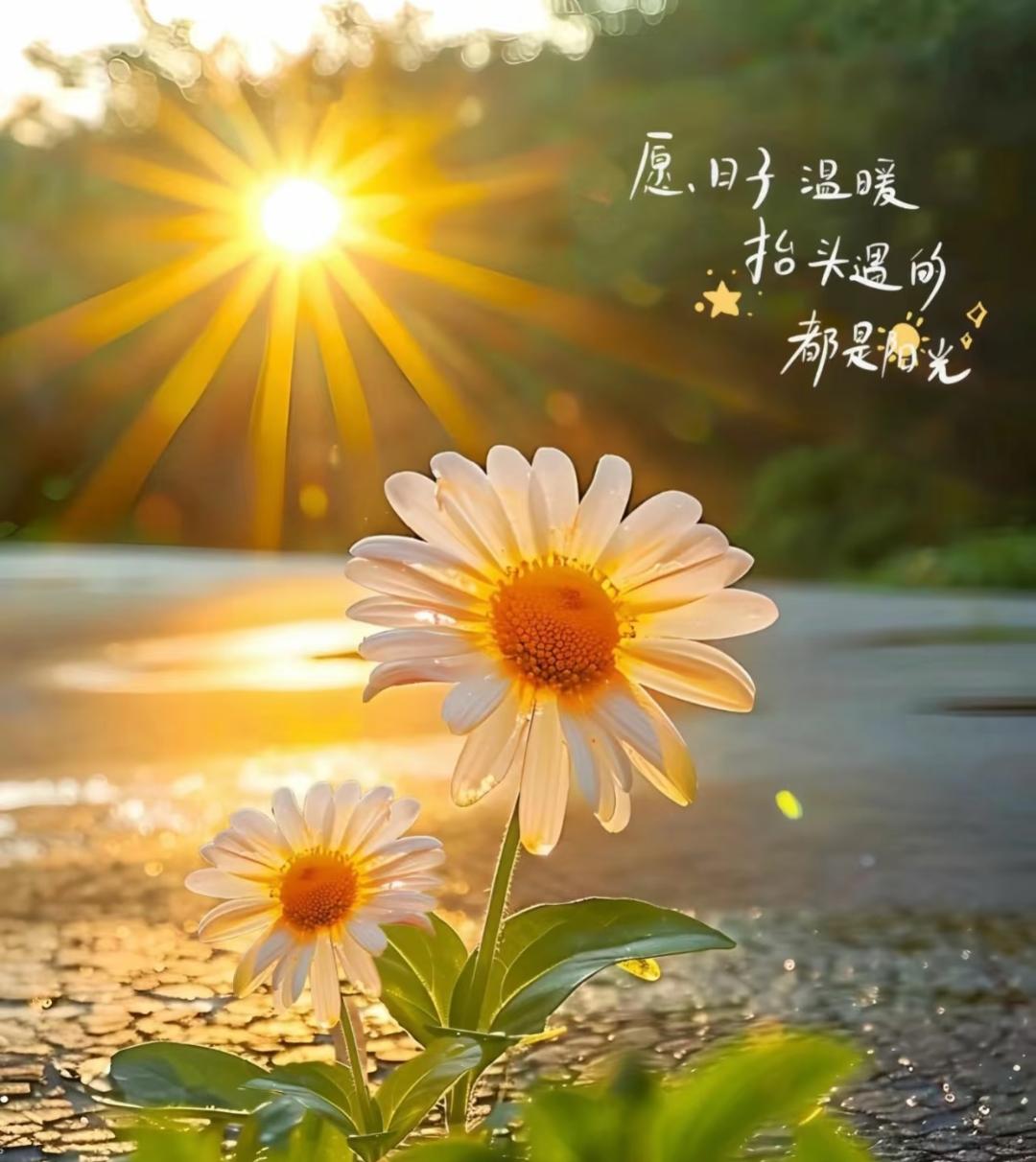 我给女同事分了700多顿午饭，她辞职那天，人事递来的文件让我哭到崩溃。28