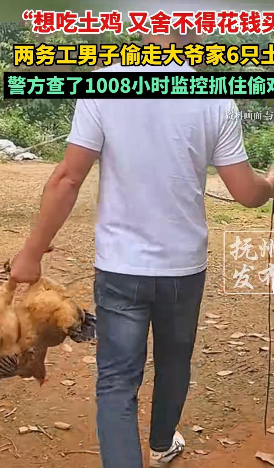 浙江杭州，一大爷去派出所报警，说：我家养了三年的六只土鸡不见了。警察马上调取了周