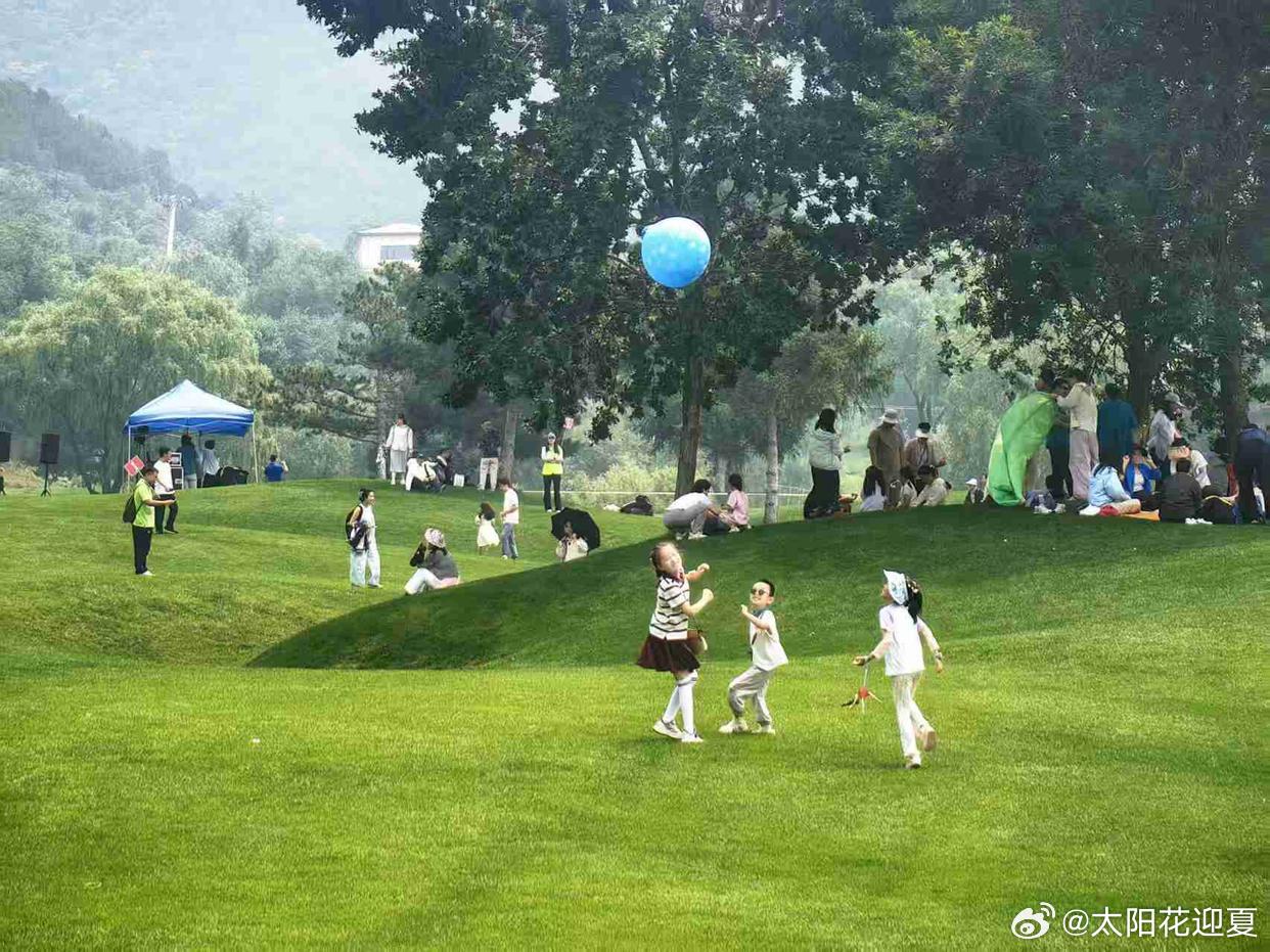 收集一整个夏天的温柔风景～