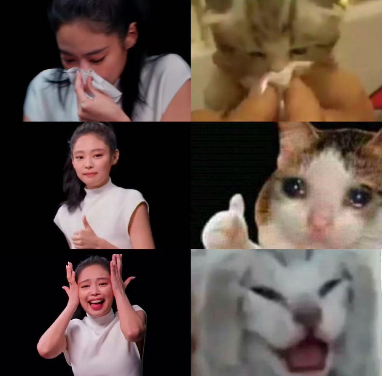 阿啊哈哈，谁给猫咪的勇气去吃辣椒~​​​