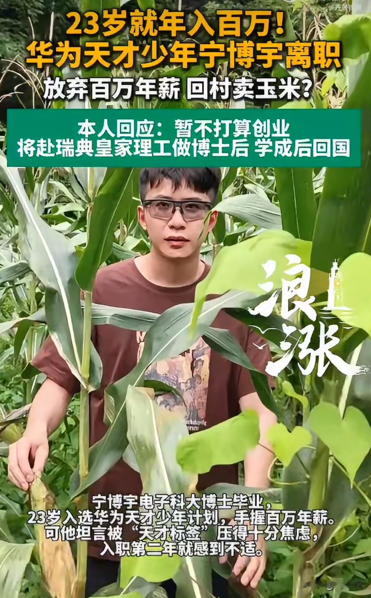 “太颠覆认知！”放弃华为百万年薪的天才少年回村卖玉米，真相并不是大家所想的归隐务
