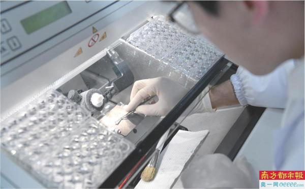 光明今年将全面建成鹏城云脑Ⅲ