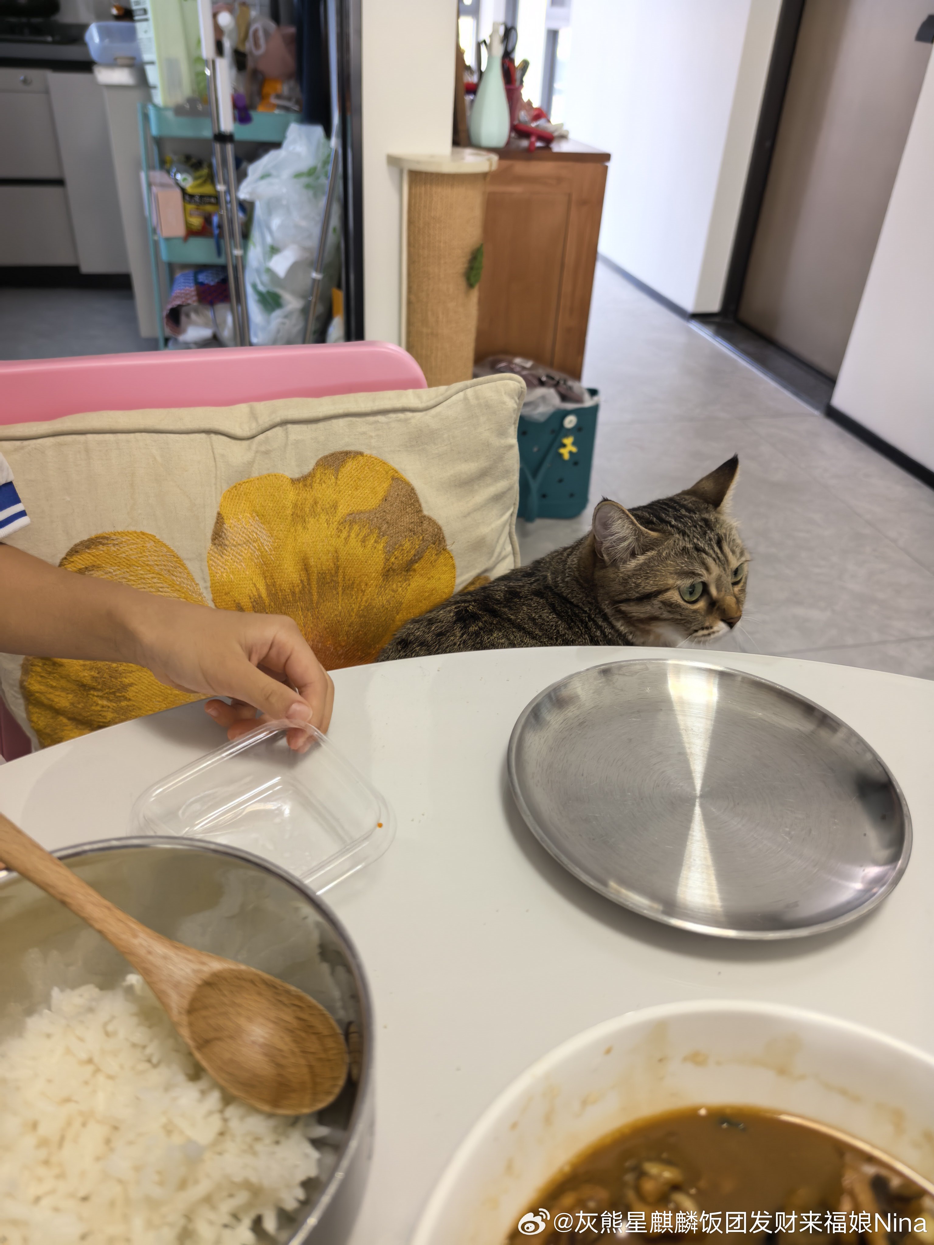 今天吃排骨炖萝卜（最近好爱用砂锅炖汤[比心]）炒矮脚鸡清炒奶白菜[比心]午饭要积极