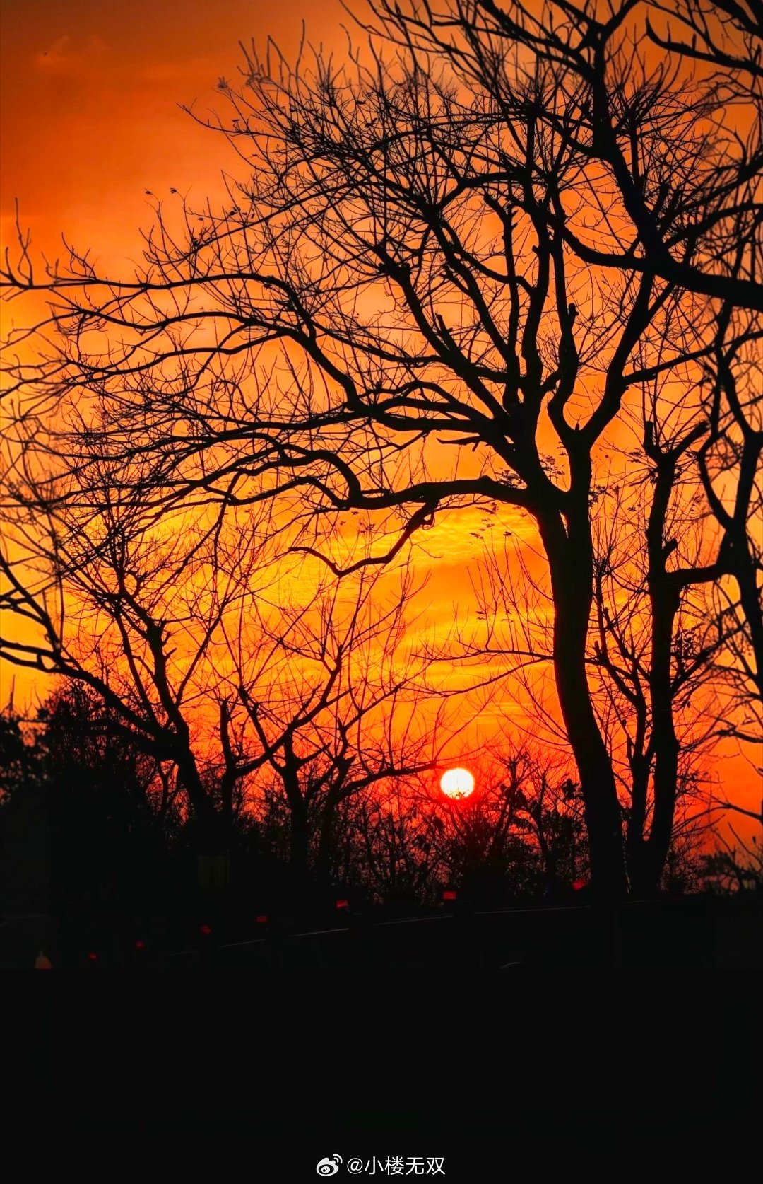 为什么人到中年要坚持运动运动，可以解决80%的疾病；读书，可以决定60%的命运；