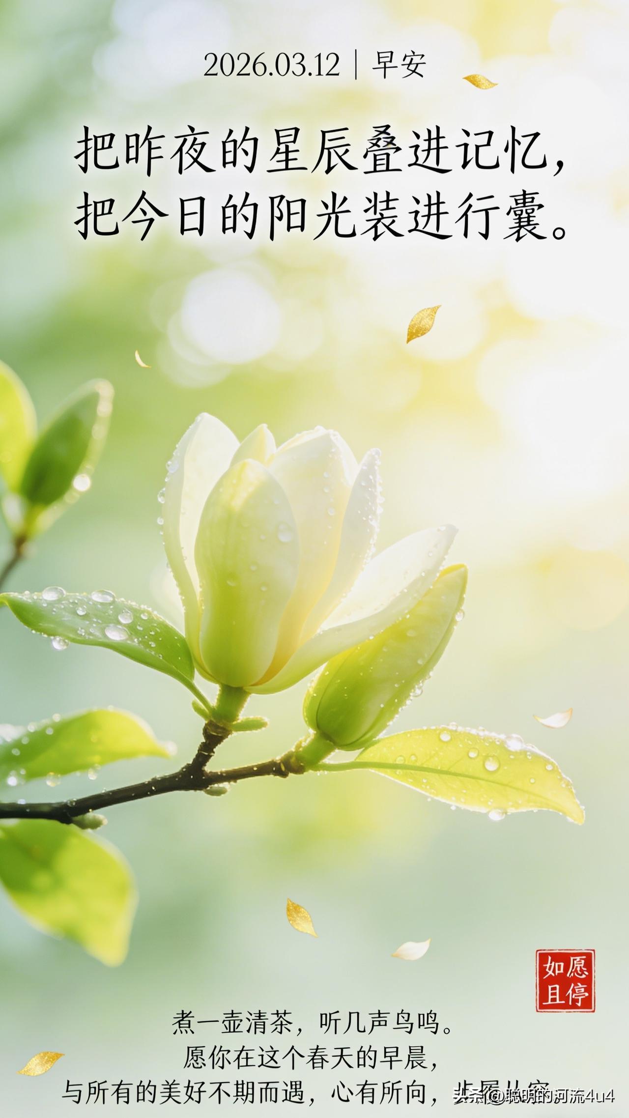 🌷🌞🛤️💖☕️✨🌷🍃2026年3月12日的清晨，春天已深