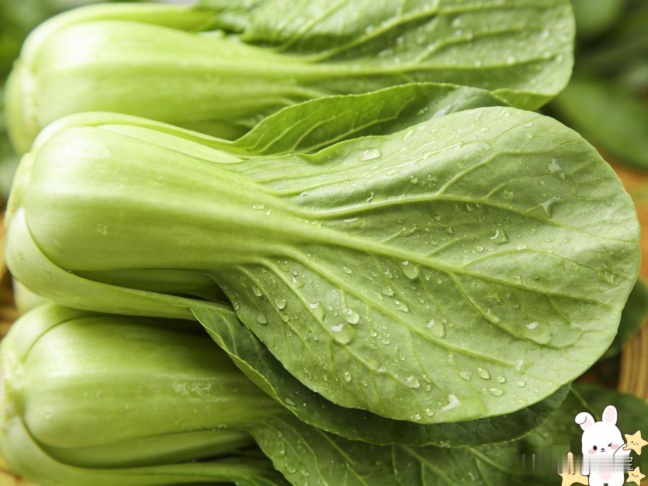 今天菜市场的价格，真是让我开了眼。今天是初三，从除夕那天起，每天不是鸡就是鱼，