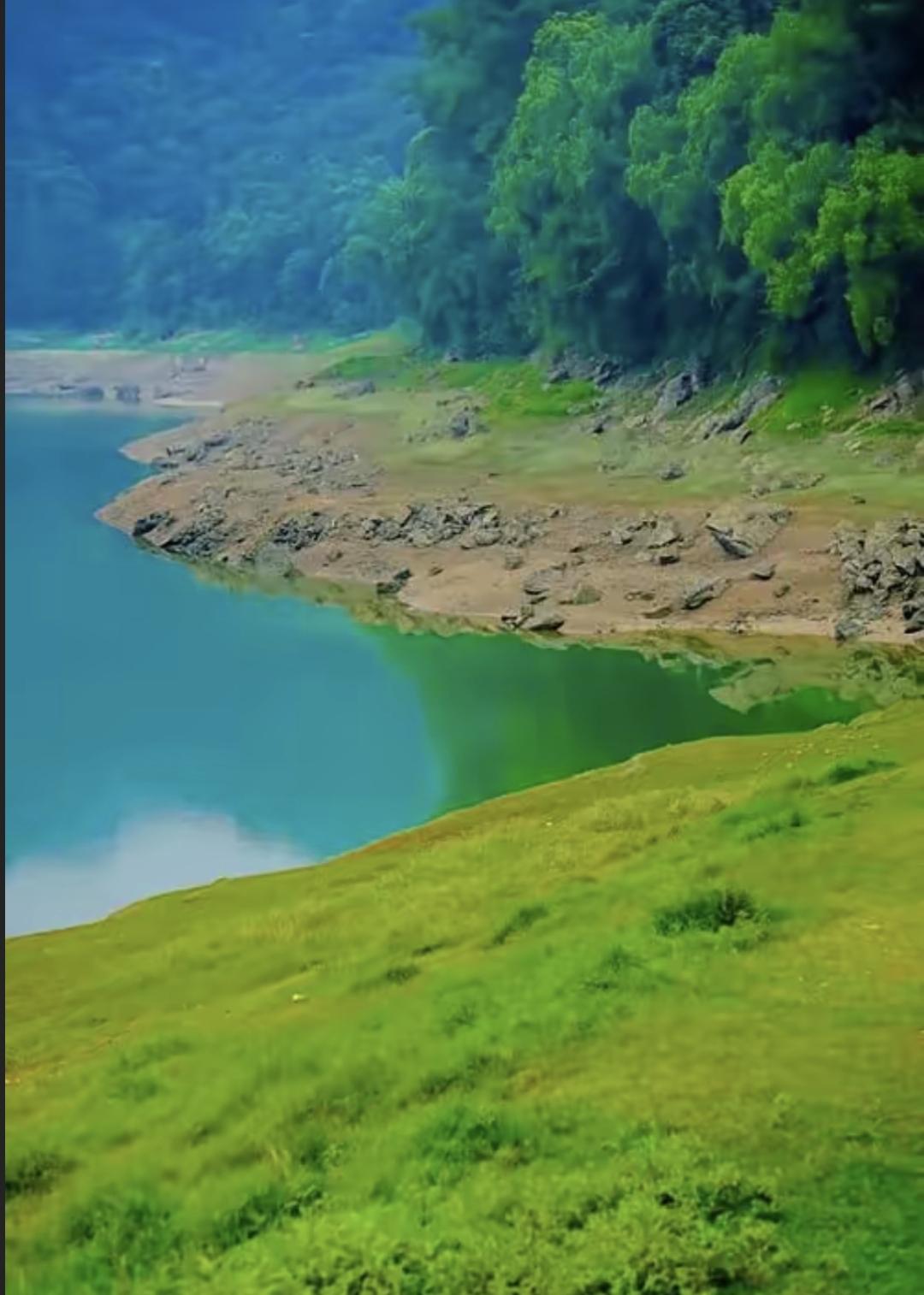 四川有位网友叫柏大姨，说每天洗澡对身体不好。她觉得天天洗会加重湿气，还把皮肤保护