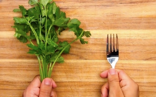 11114027398439761358.jpeg?id=0