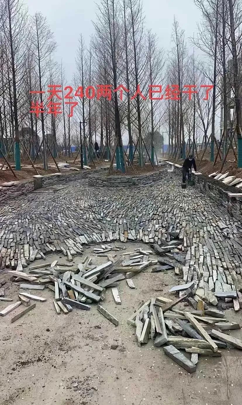 干了半年了，付不起工钱了