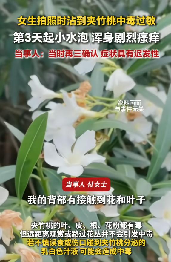 悲剧还是发生了！这年头，为了出片，大家是真的拼。 6月6日，根据多家媒体报