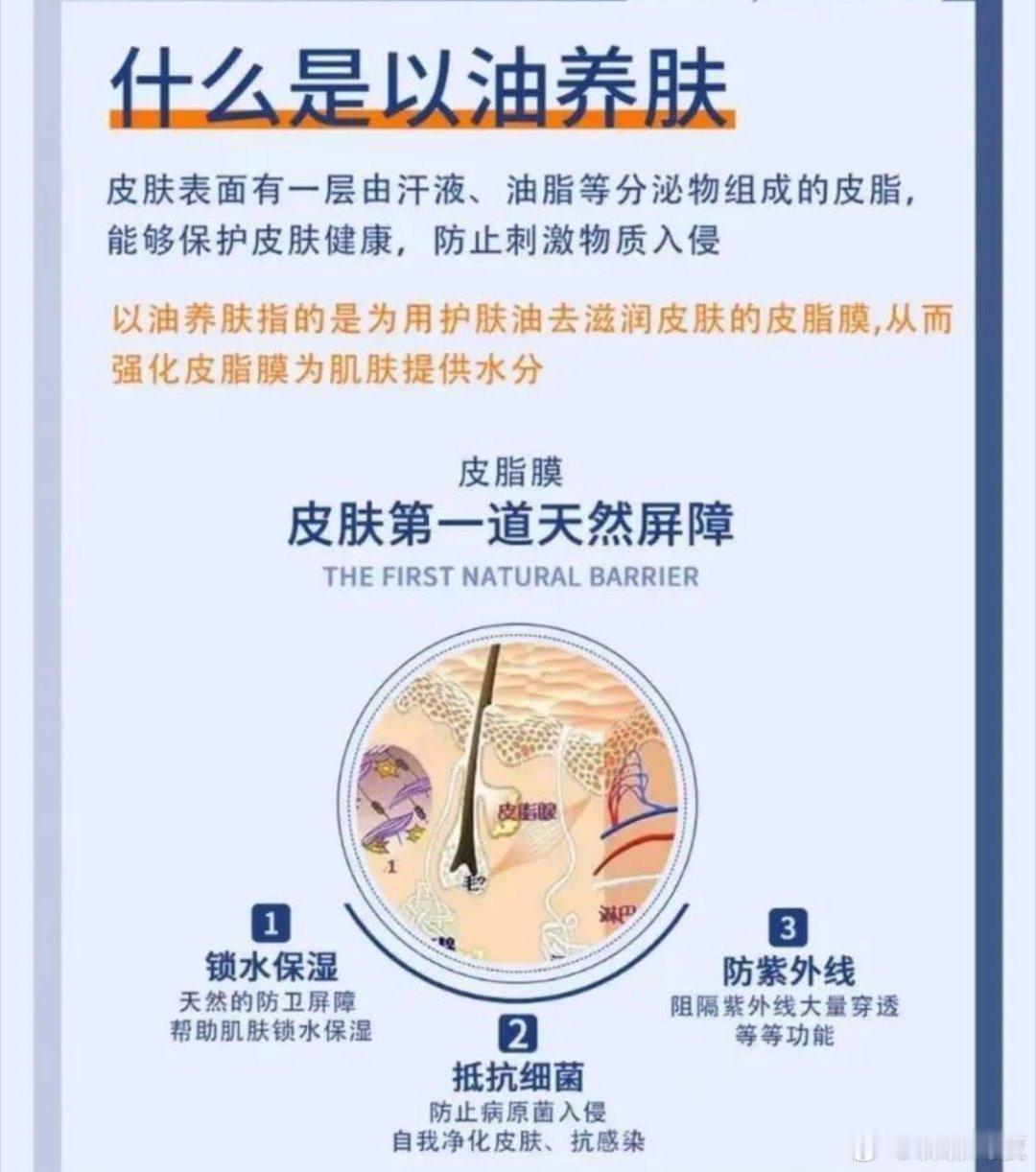 护肤产品什么是以油养肤❓以油养肤是利用与人体皮肤脂质结构相似的天然油脂（如角鲨烷