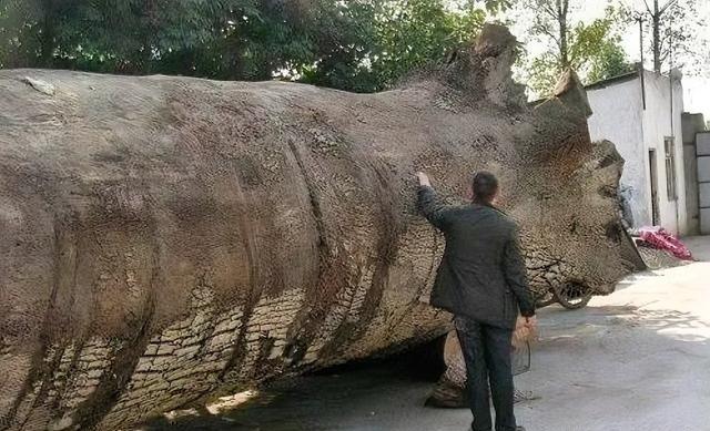 2012年的一天，家住四川彭州麻柳村的村民吴高亮，在自家承包地里干完活，路过附近