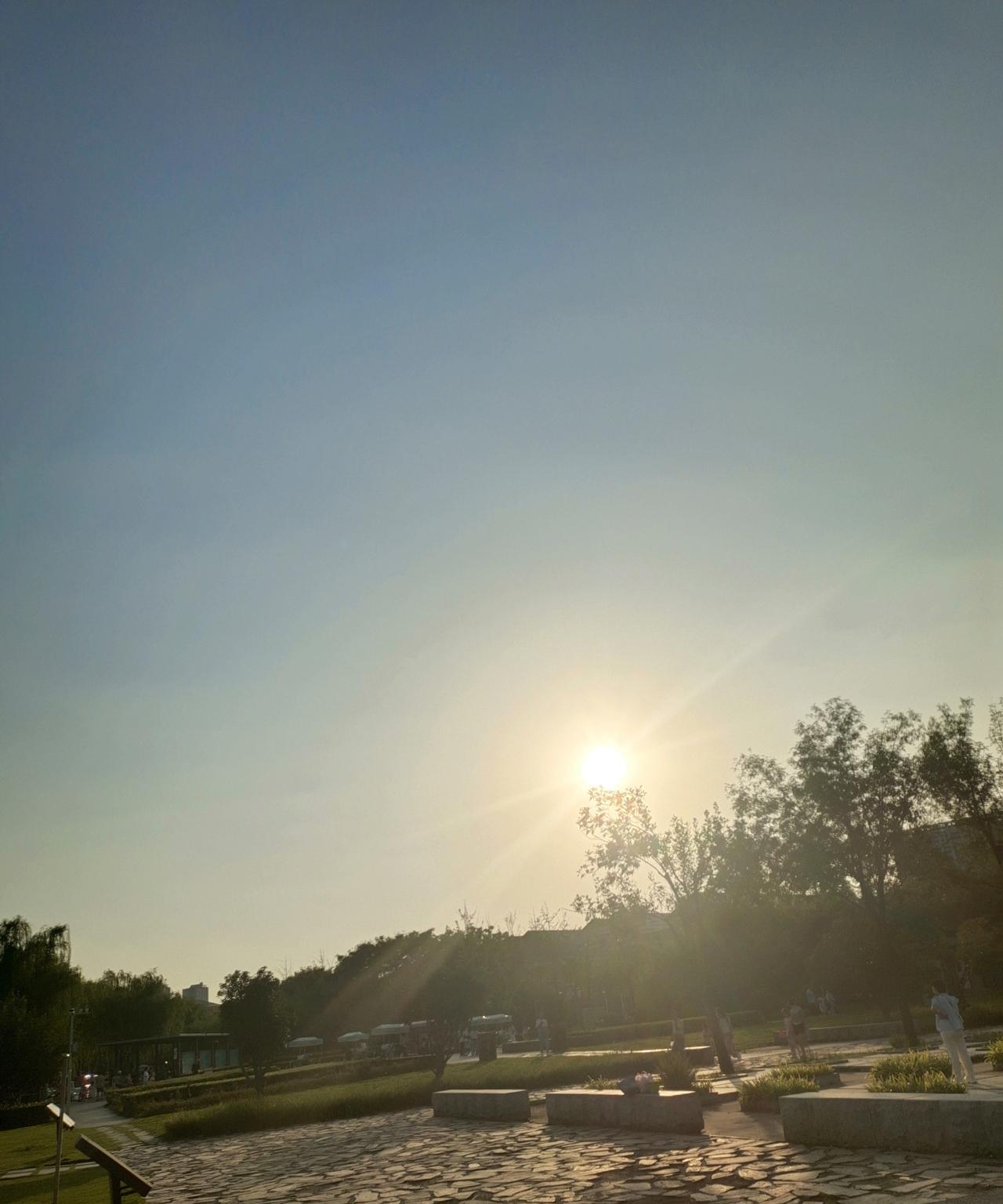 孝与不孝谁说了算？我老公的大叔查出癌症，但是堂弟没给他老爸住院治疗，而是开车把他
