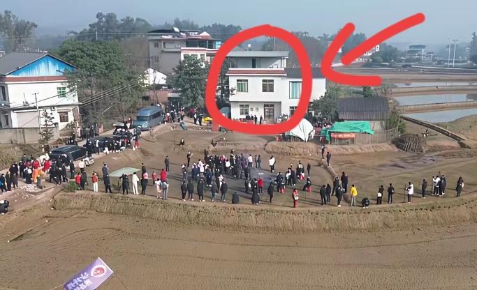 合川呆呆被骂“太傻”？这才是顶级清醒！拒绝围观，闭门谢客。网友炸锅：到手的