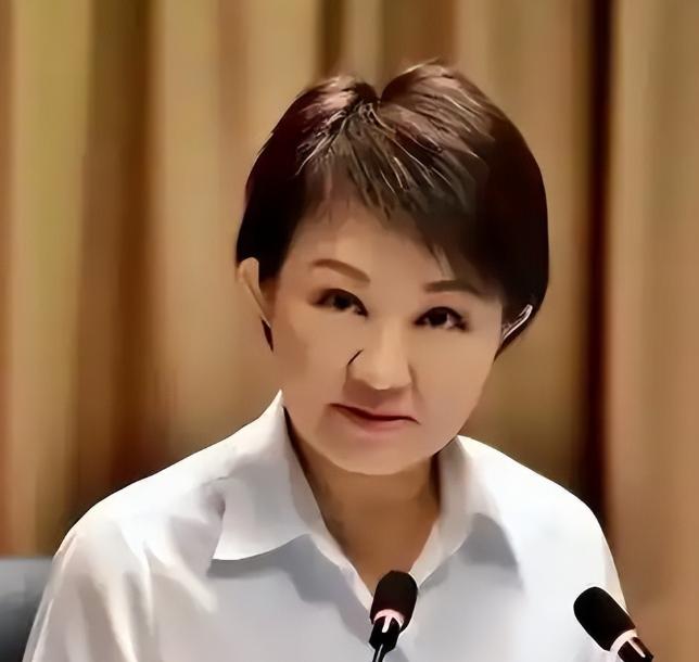台中市政府突然宣布，6月5日晚，台湾省台中市政府突然宣布：市长卢秀燕将于6日率
