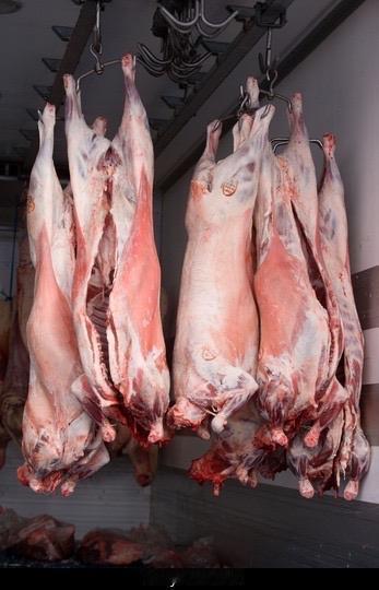 昨天游泳后和朋友聊起吃羊肉，我还力荐桥头边那家“小五子羊肉”，大锅咕嘟冒泡，以前