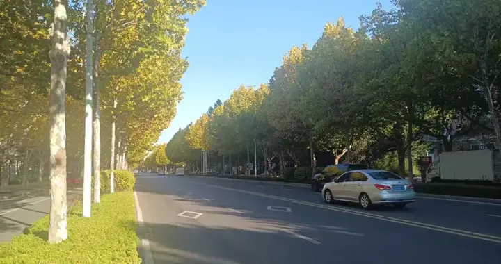 今年炒股有多难? 5530只股票, 3766只在跌