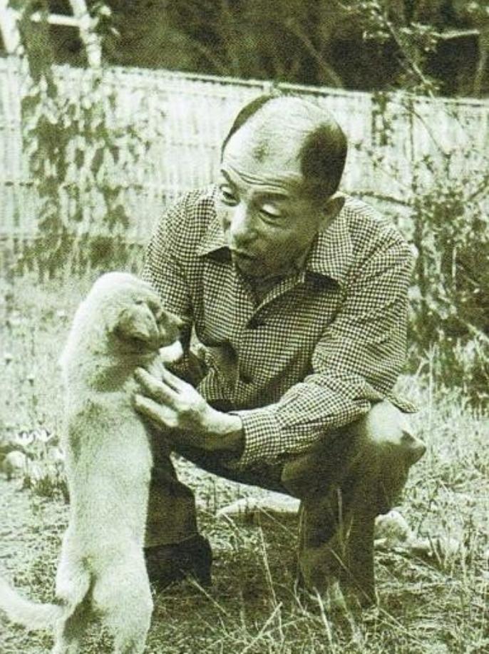 1975年4月6日凌晨2点,张群打电话告诉了张学良,说老蒋已于昨夜病死。当时,屋
